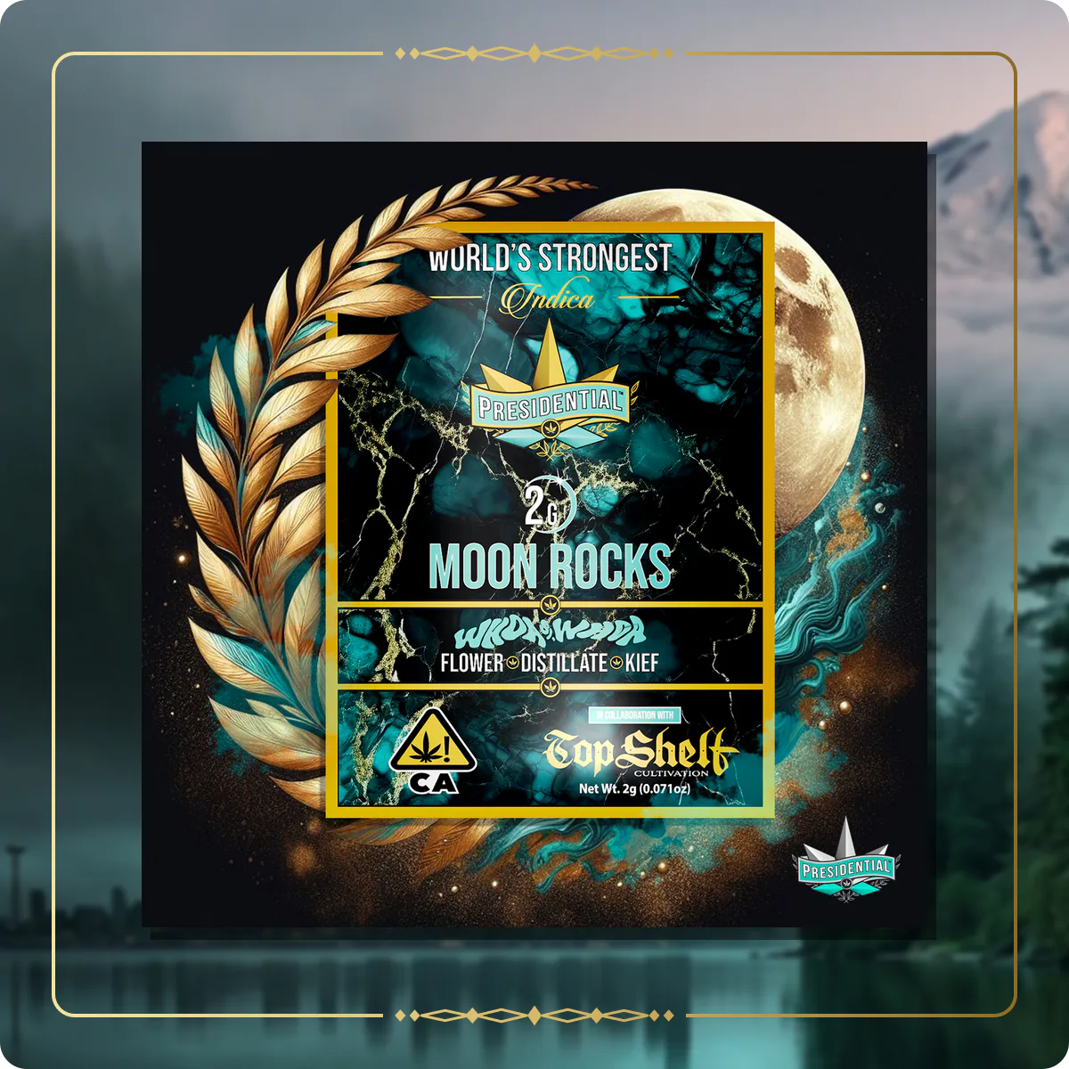 Whoa Si Whoa Presidential Moon Rock variant 2 for the Washington home collection
