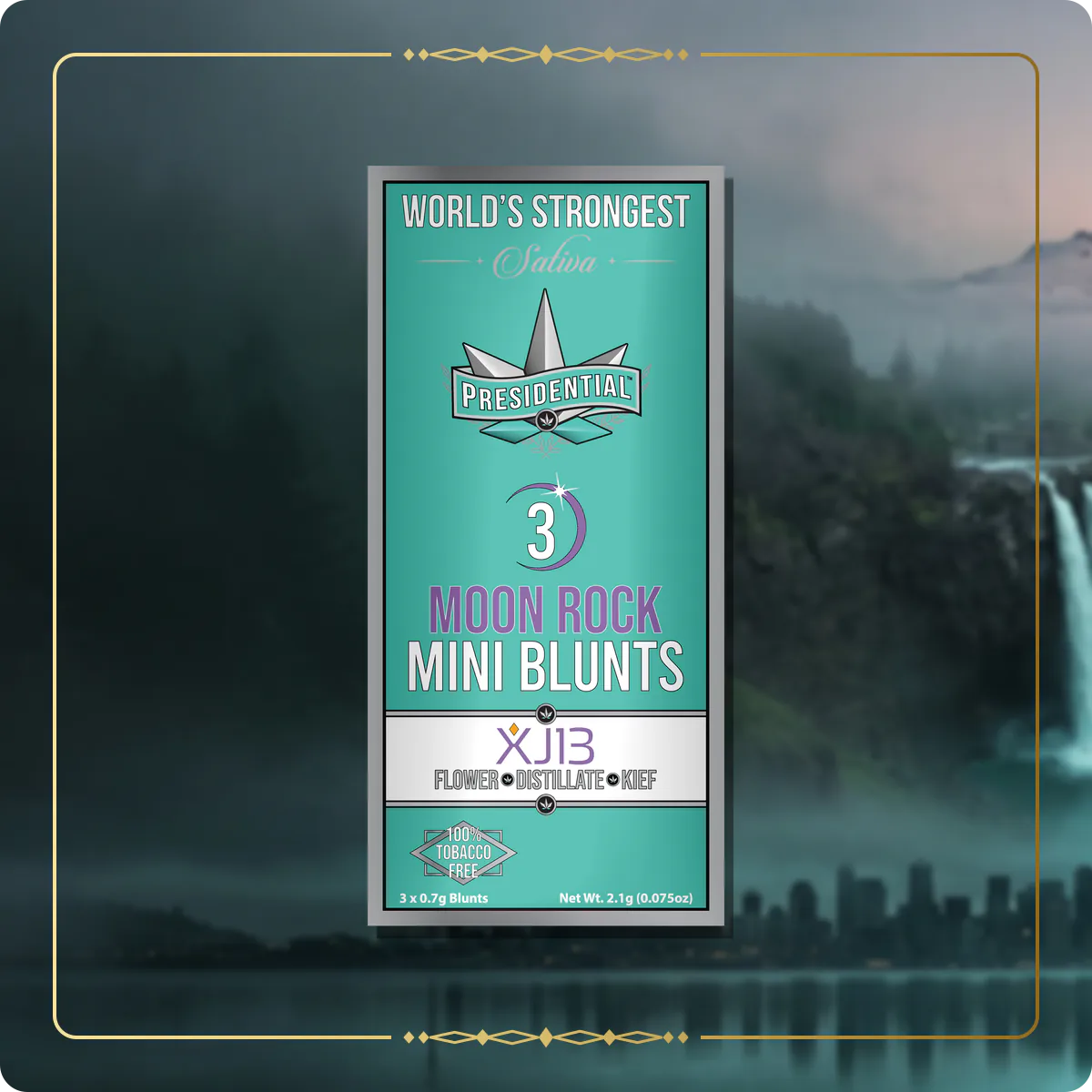 XJ-13 Presidential mini for the Washington home collection